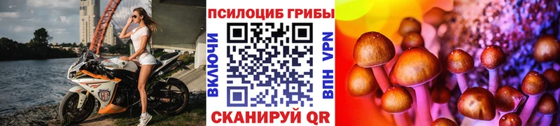Псилоцибиновые грибы GOLDEN TEACHER  Знаменск 